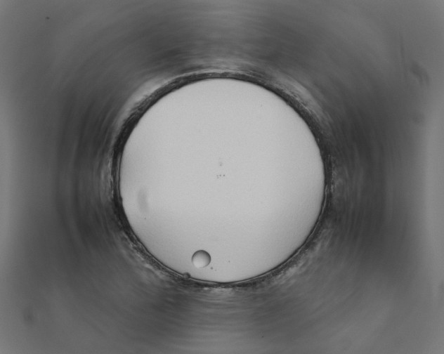 X0000111231172200907301240