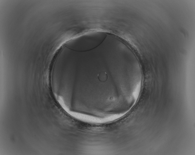 X0000111231173200907301240