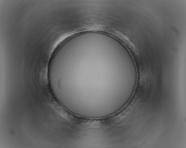 X0000111231174200907301240