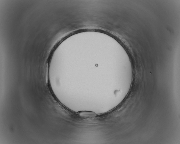 X0000111231175200907301240