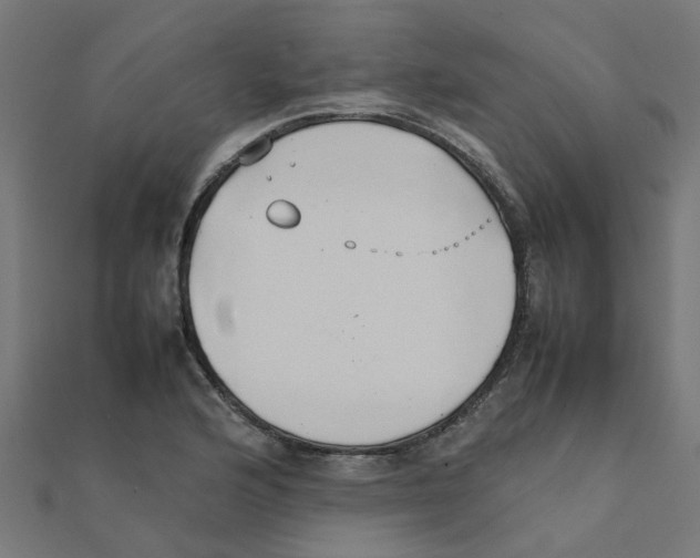 X0000111231176200907301240