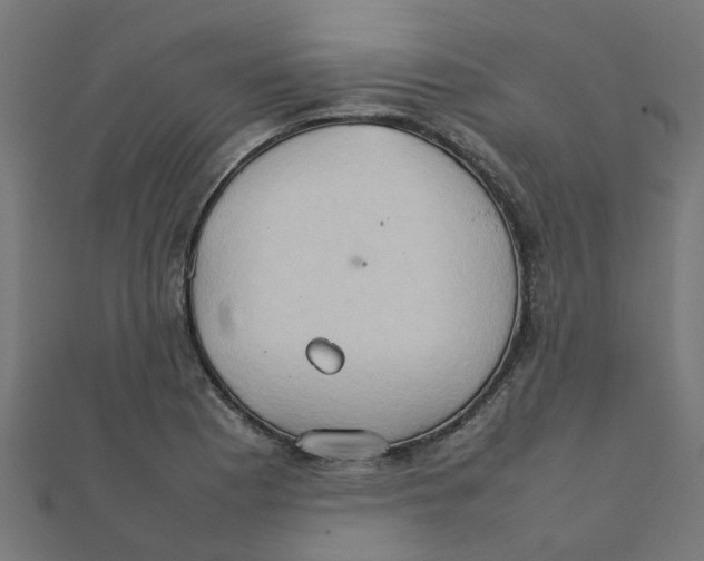 X0000111231177200907301240