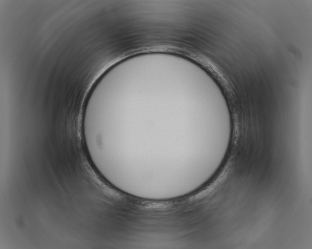 X0000111231178200907301240