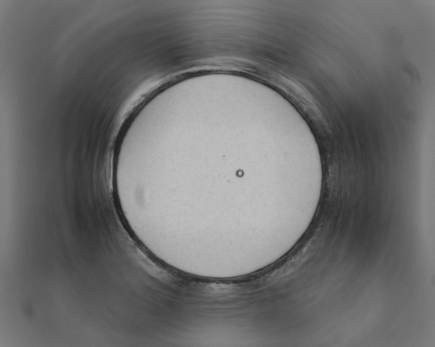 X0000111231180200907301240