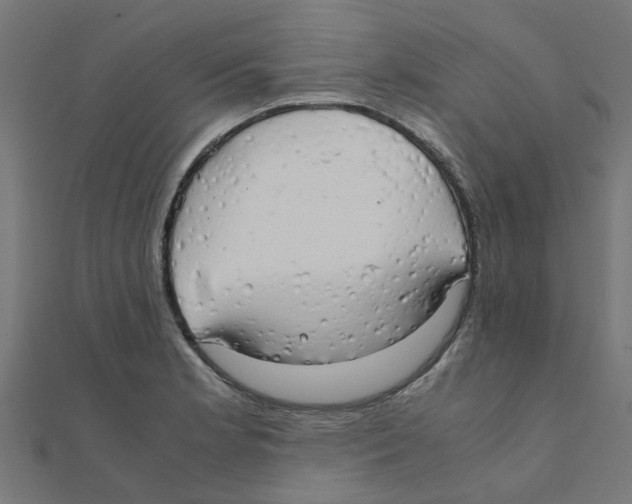 X0000111231181200907301240