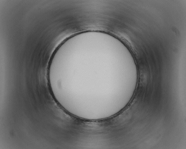 X0000111231182200907301240