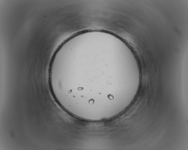 X0000111231183200907301240