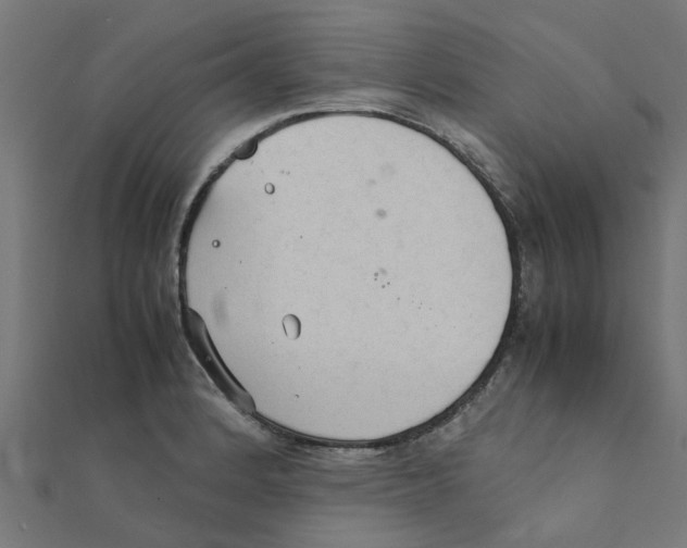 X0000111231184200907301240