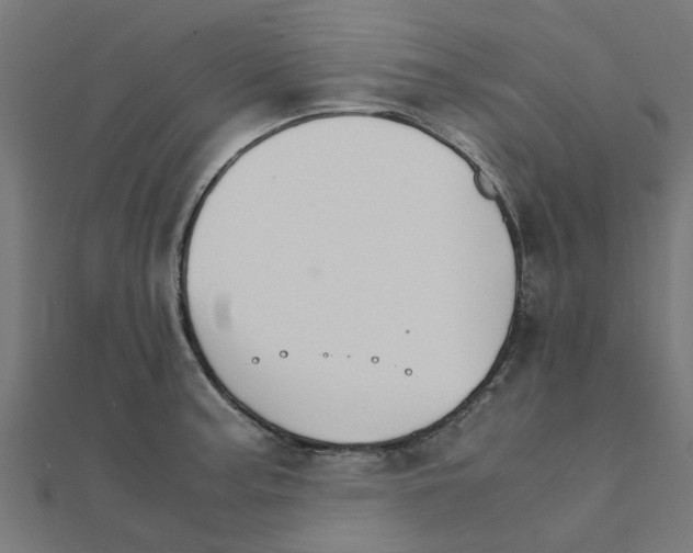 X0000111231187200907301240