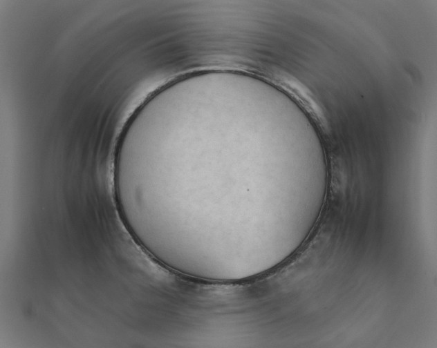 X0000111231188200907301240