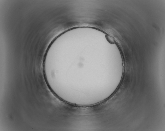 X0000111231189200907301240