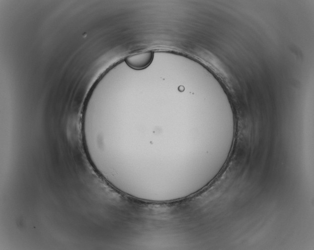 X0000111231190200907301240