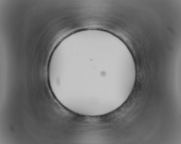 X0000111231191200907301240