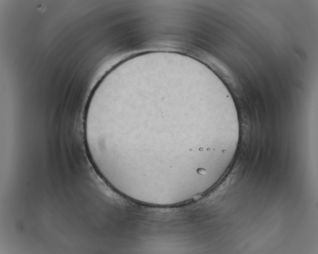 X0000111231192200907301240