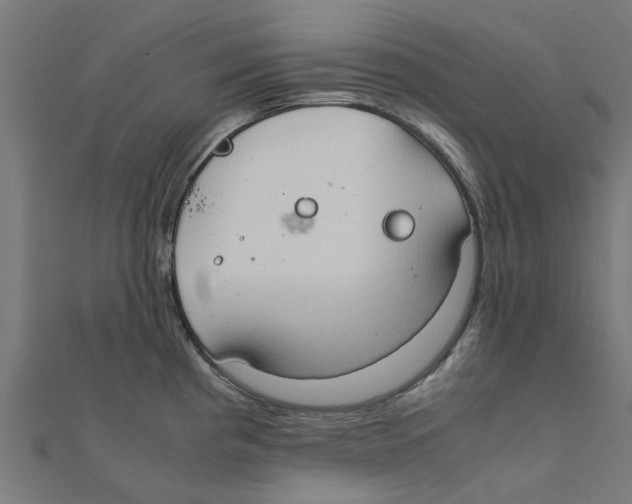 X0000111231193200907301240