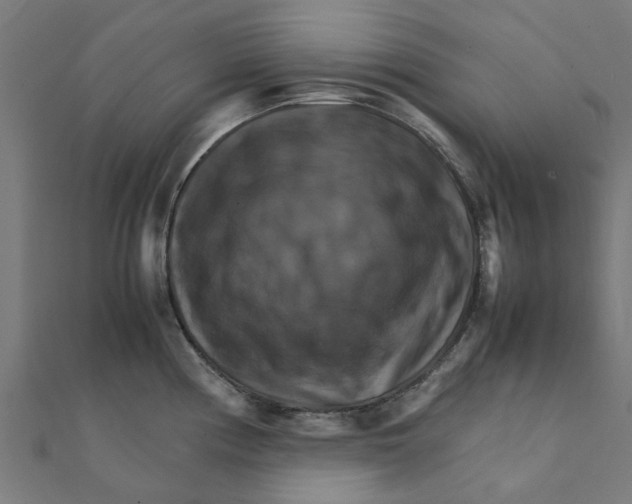 X0000111231194200907301240