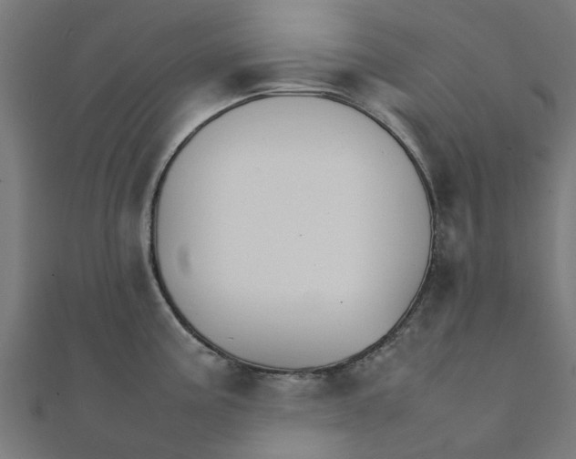 X0000111231195200907301240