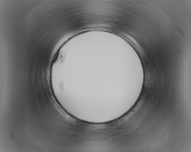 X0000111231196200907301240