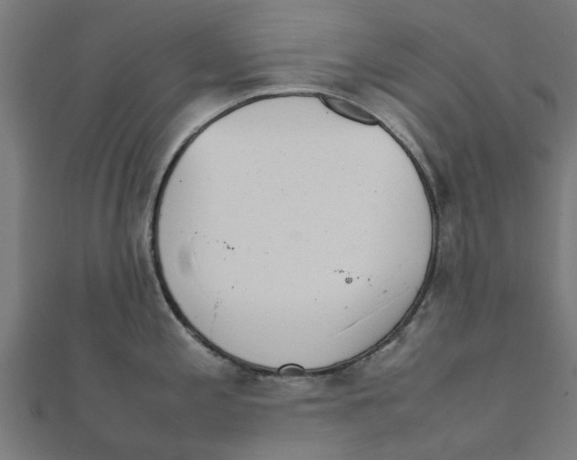 X0000111231197200907301240