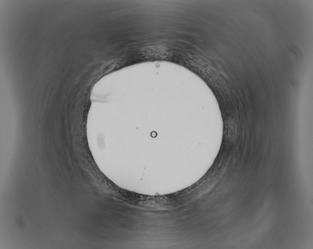 X0000111231201200907301239