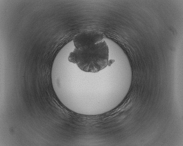 X0000111231202200907301239