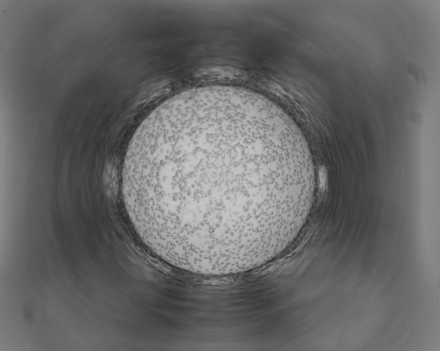 X0000111231203200907301239