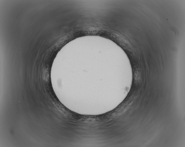 X0000111231204200907301239