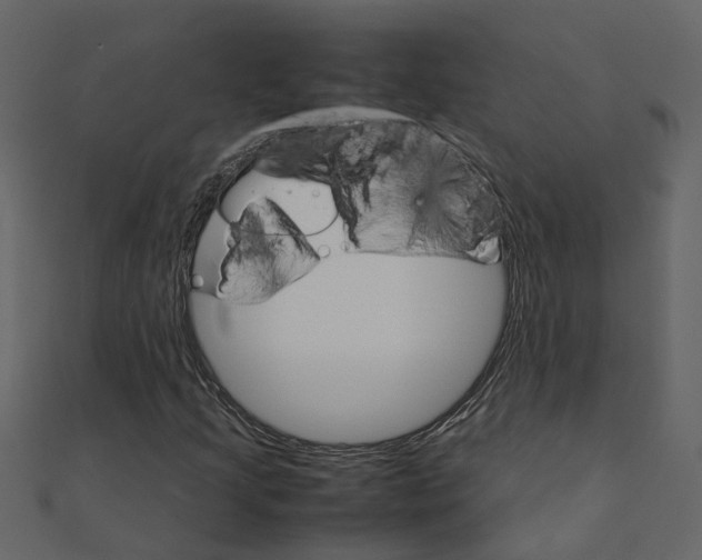 X0000111231205200907301239