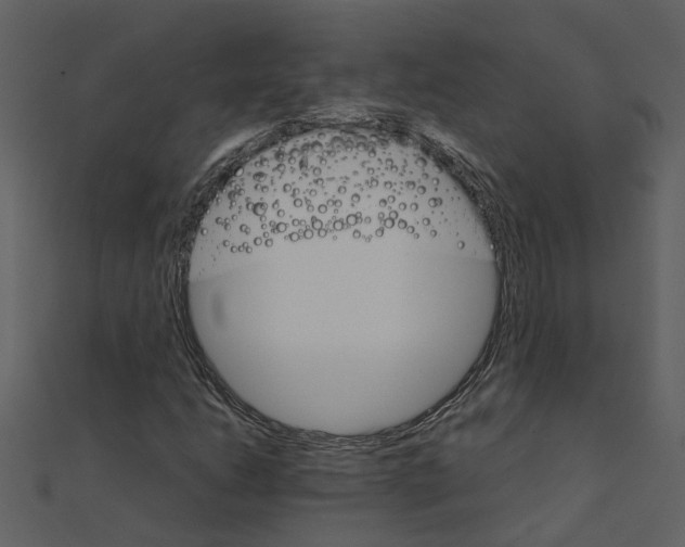 X0000111231206200907301239