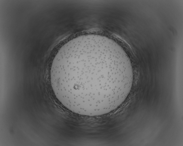 X0000111231207200907301239