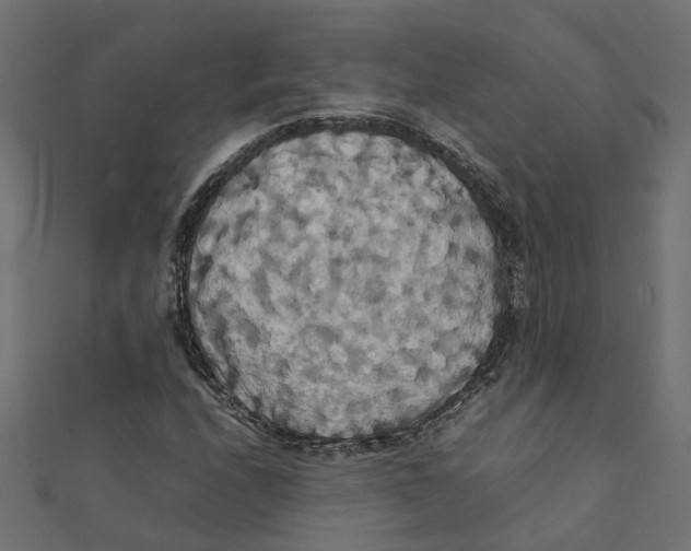 X0000111231208200907301239