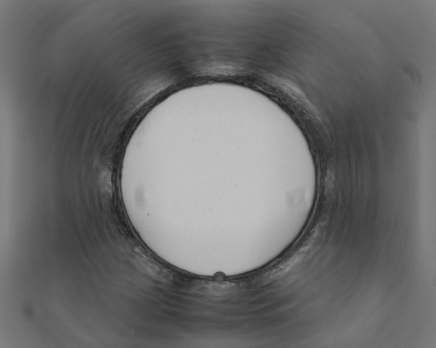 X0000111231209200907301239