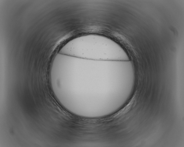 X0000111231210200907301239