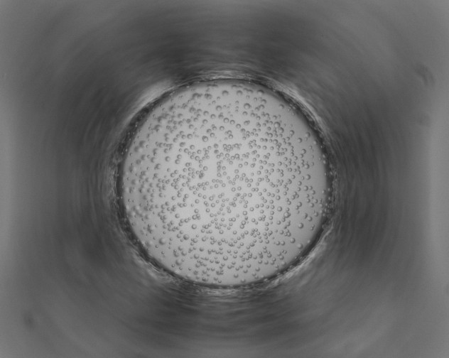 X0000111231211200907301239