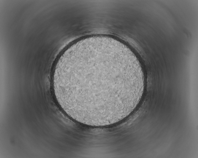 X0000111231212200907301239