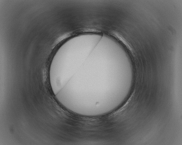 X0000111231213200907301239