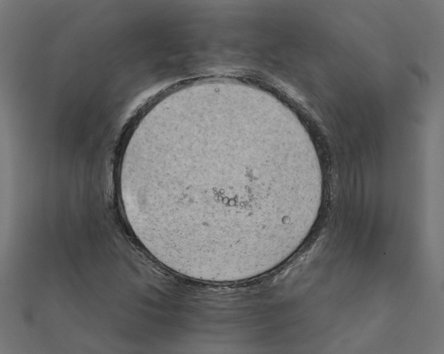 X0000111231214200907301239