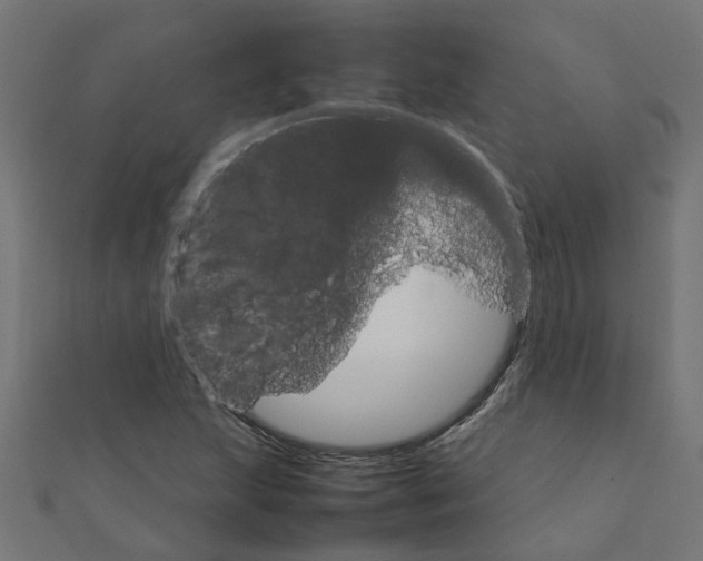 X0000111231215200907301239