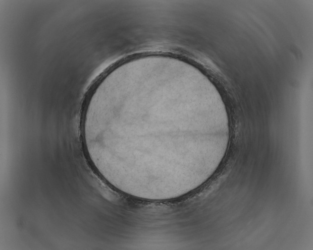 X0000111231216200907301239