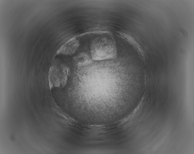 X0000111231217200907301239