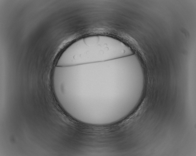 X0000111231218200907301239