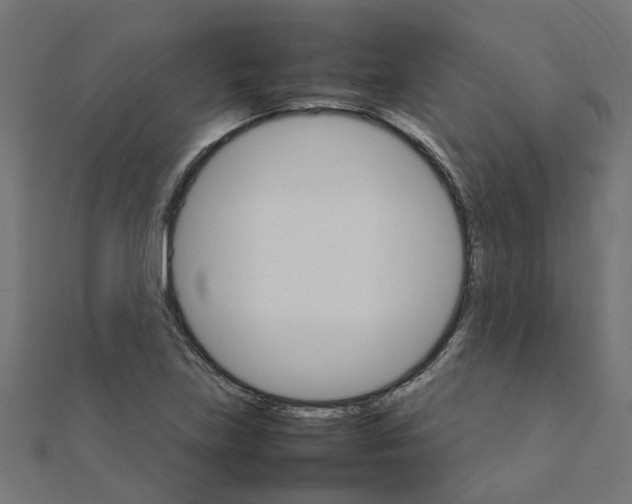 X0000111231219200907301239