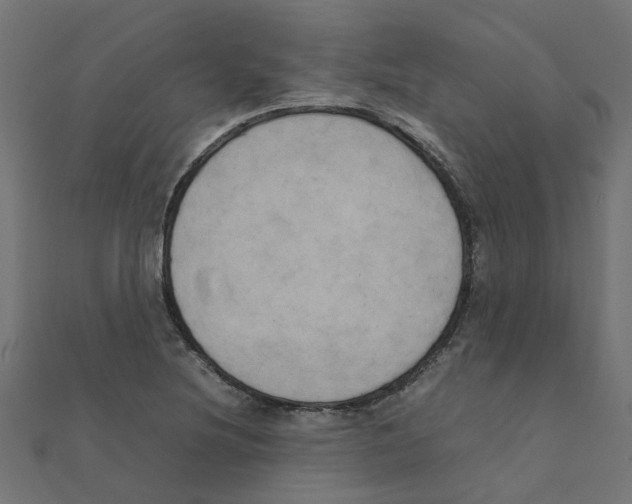 X0000111231220200907301239