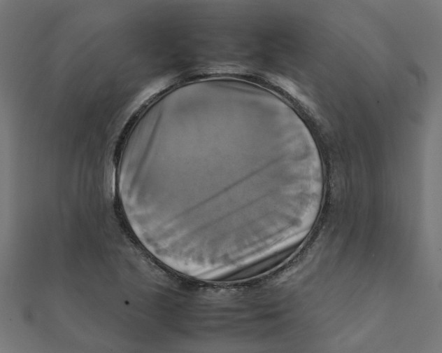 X0000111231221200907301239