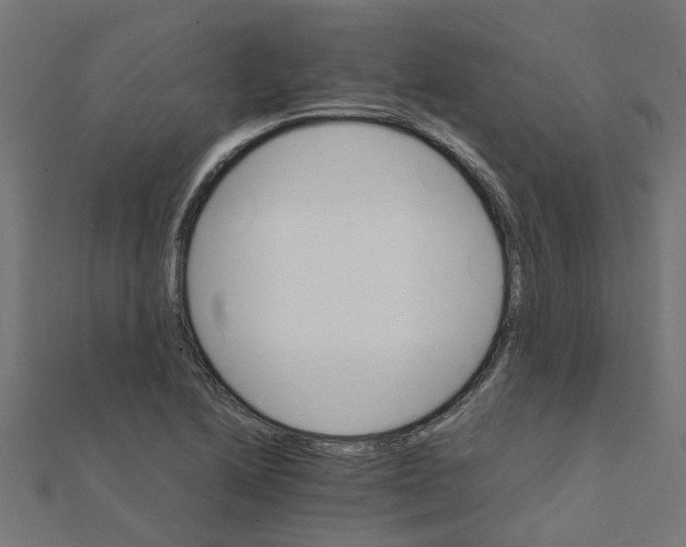 X0000111231222200907301239