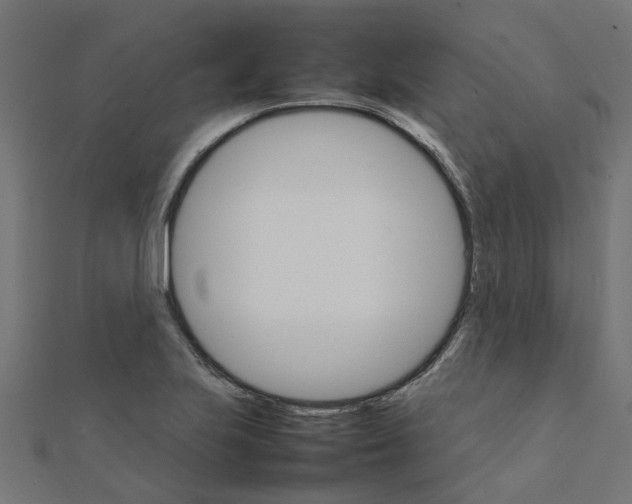 X0000111231223200907301239