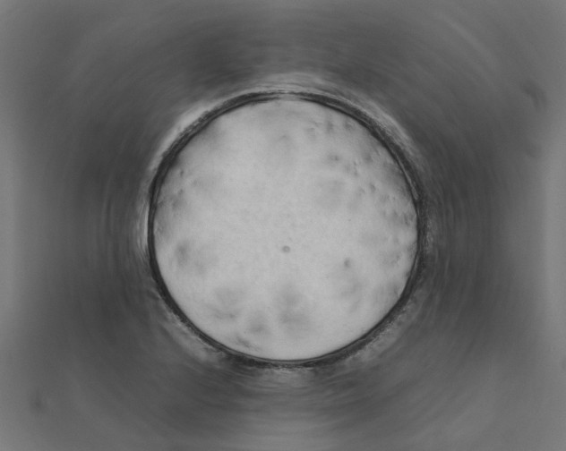 X0000111231224200907301239