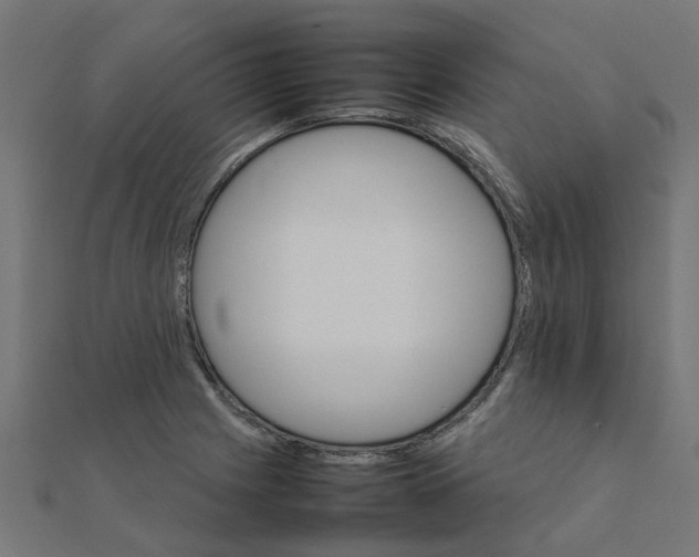 X0000111231225200907301239