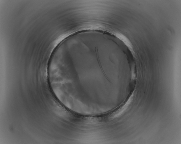 X0000111231226200907301239