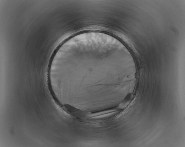 X0000111231229200907301239